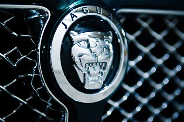 Jaguar Car Badge